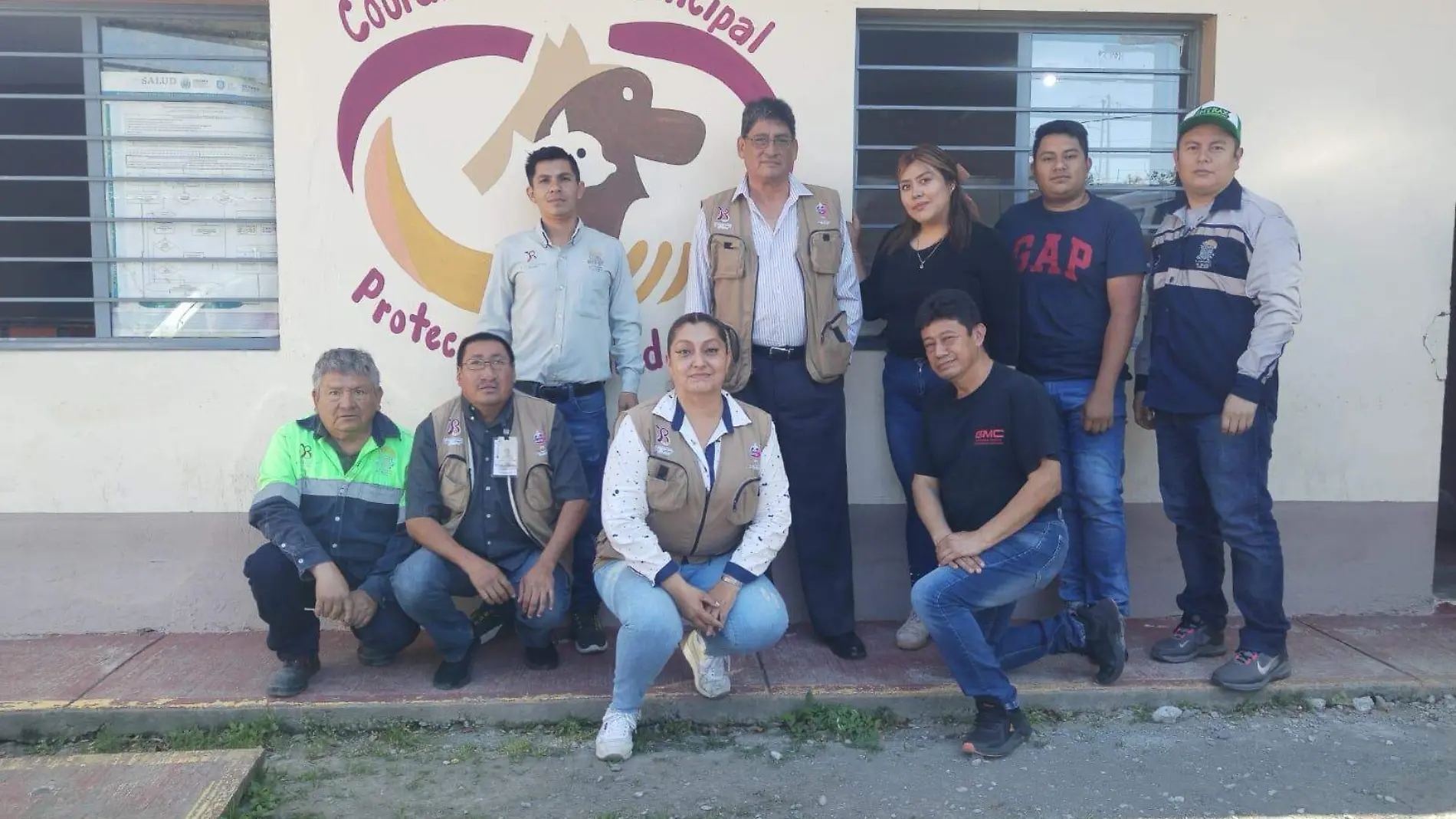 Cuáles son las multas por maltrato animal en Río Blanco y Nogales; te contamos